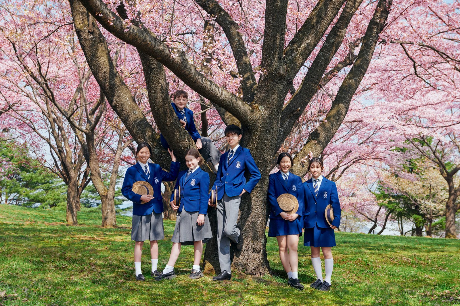 A group photo of harrow students from appi in their uniforms beneath a sakura tree