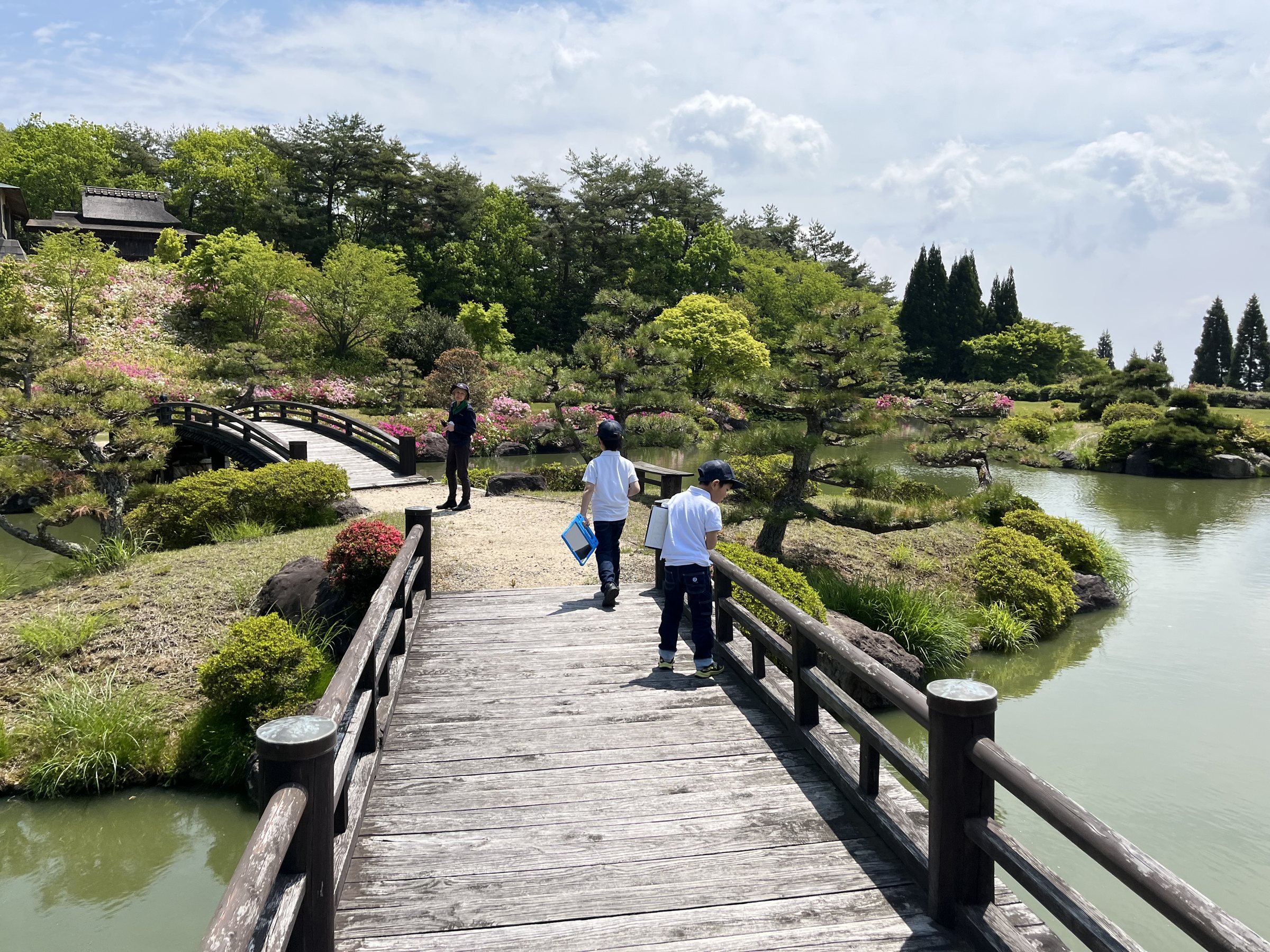 Crossing a bridge on a field trip to a Japanese garden