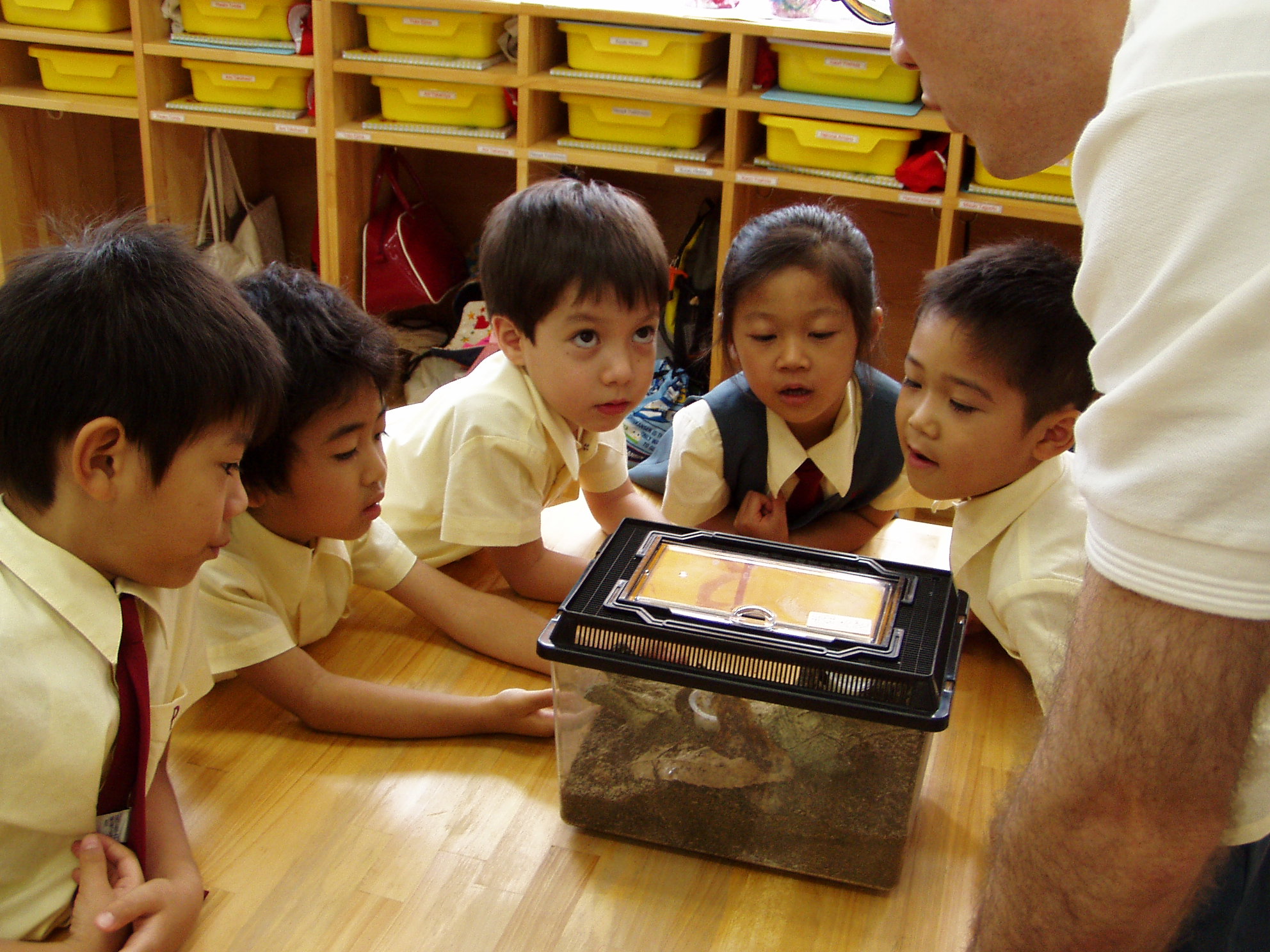 Primary students' class at Kumamoto International School